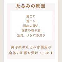 画像264