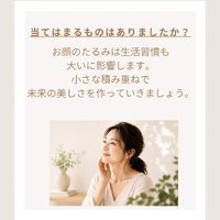 画像313